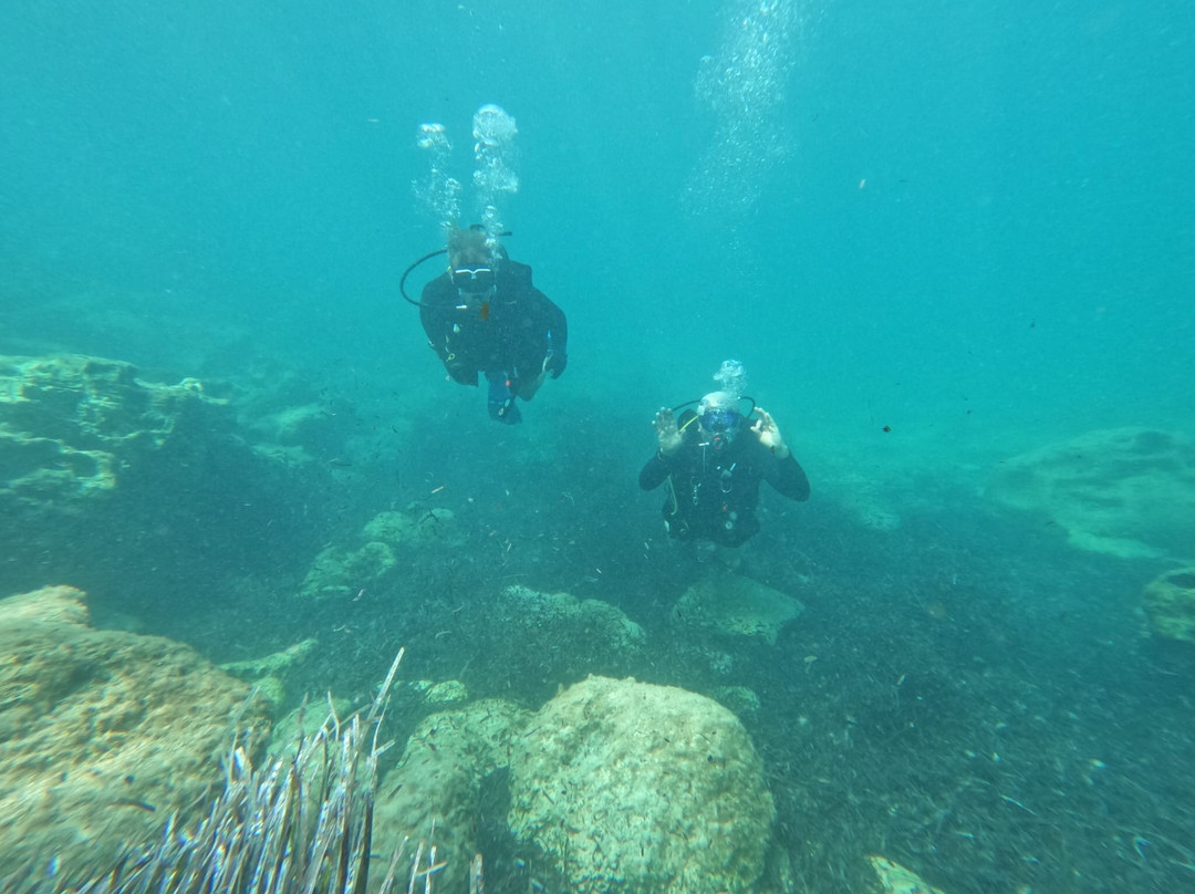 Cydive-帕福斯必去景点