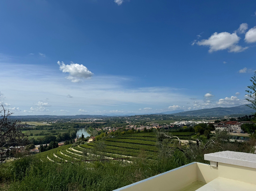 Delser Manor House Hotel主图