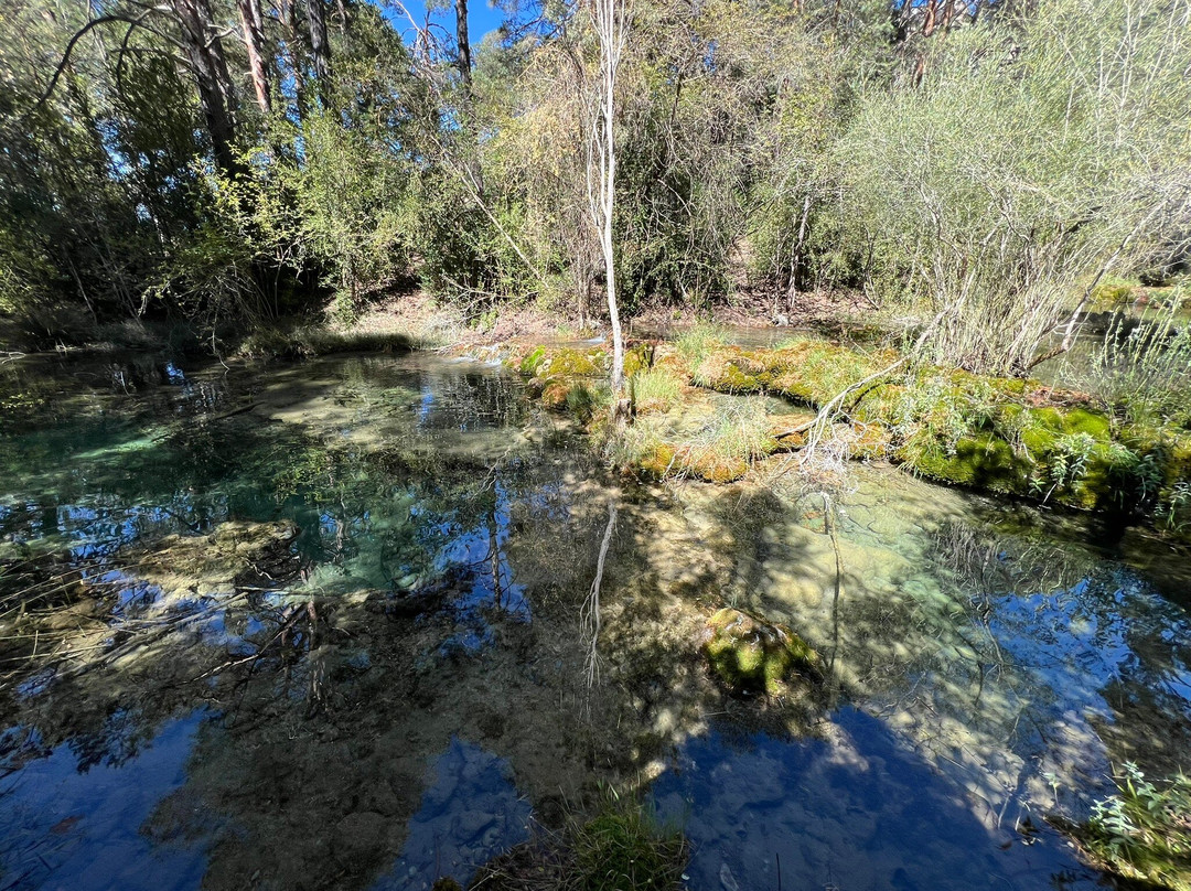 Nacimiento Del Rio Cuervo-Vega del Codorno必去景点