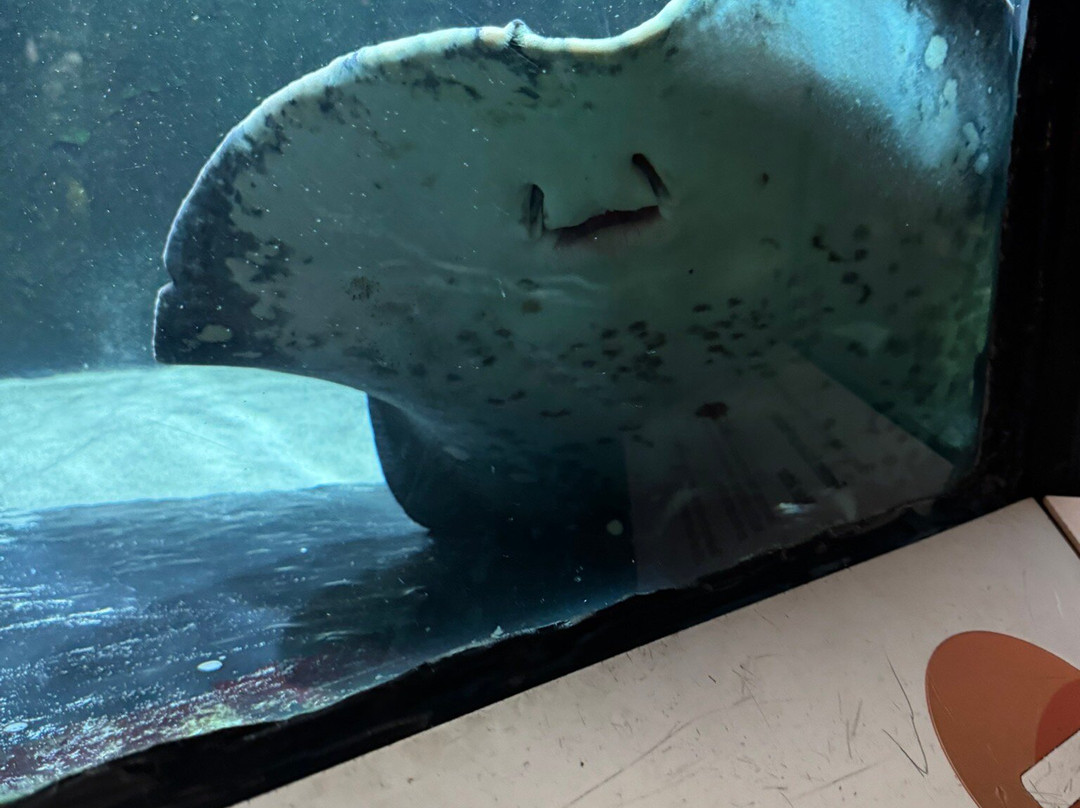 Bolton Library and Museum Services-博尔顿必去景点