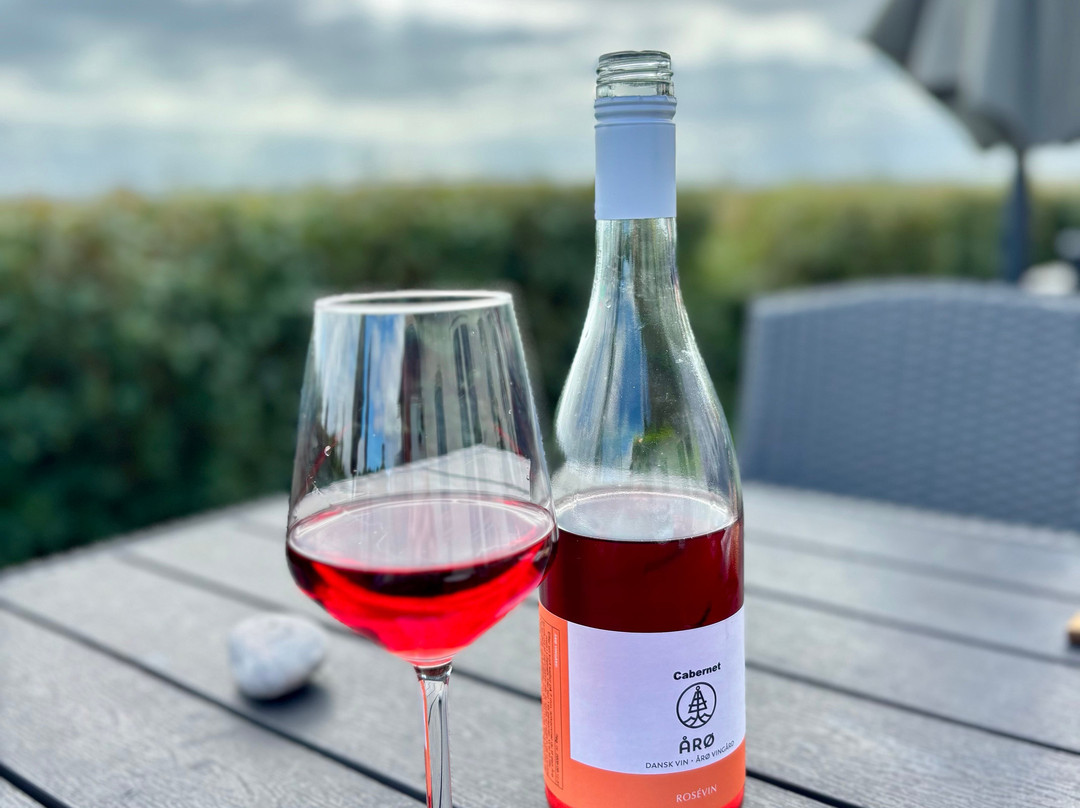 Aaroe Vingaard-哈泽斯莱乌必去景点