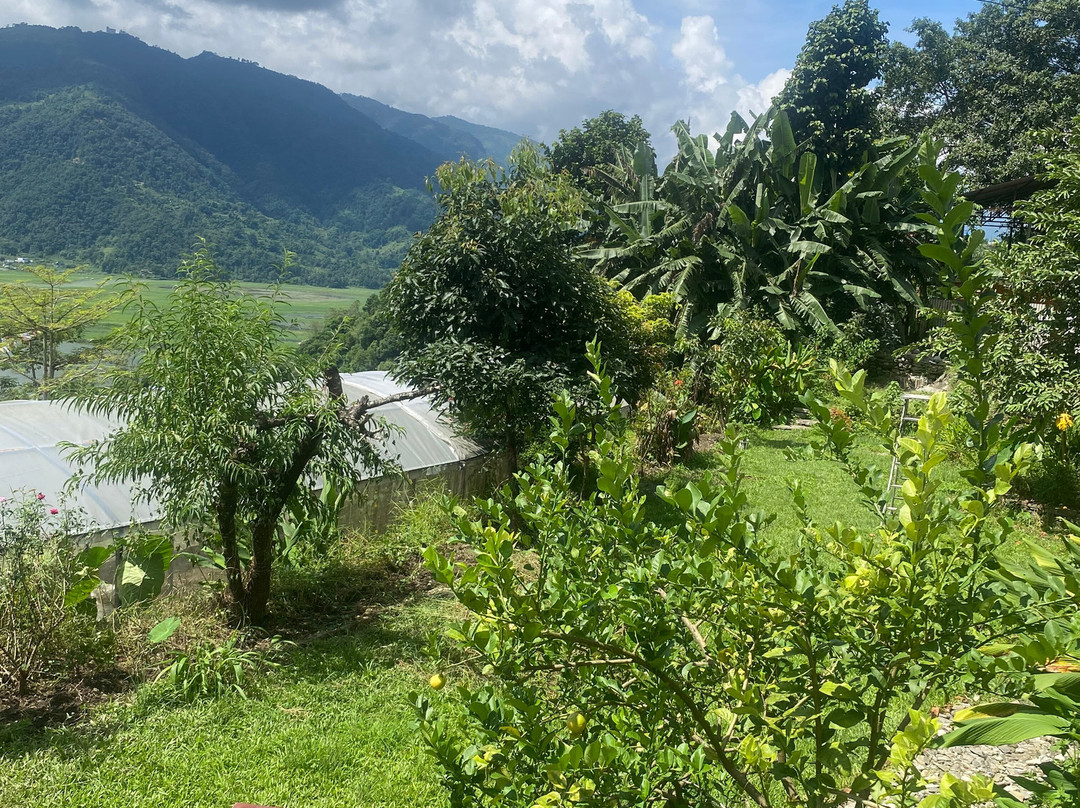 Himalayan Yogini-博卡拉必去景点