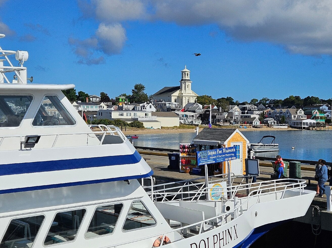 Dolphin Fleet Whale Watch-普罗温斯敦必去景点