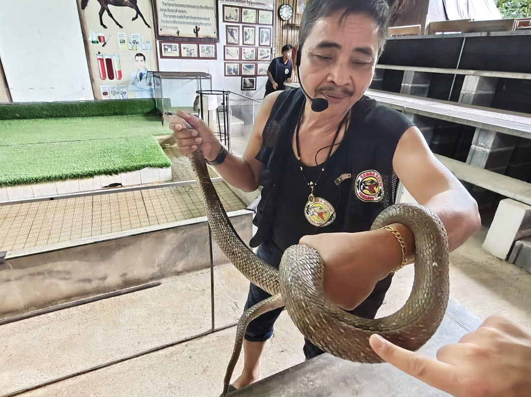Cobra Show Thailand-苏梅岛必去景点