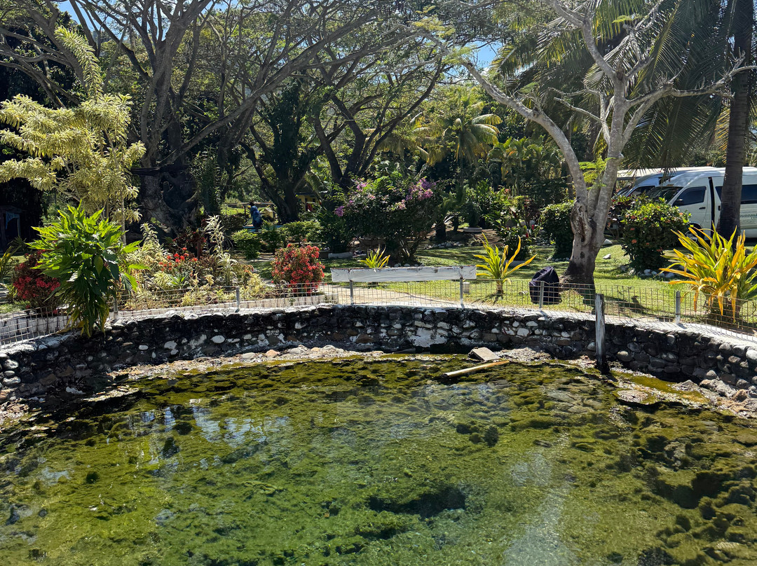 萨贝托泥浆温泉-纳迪市必去景点