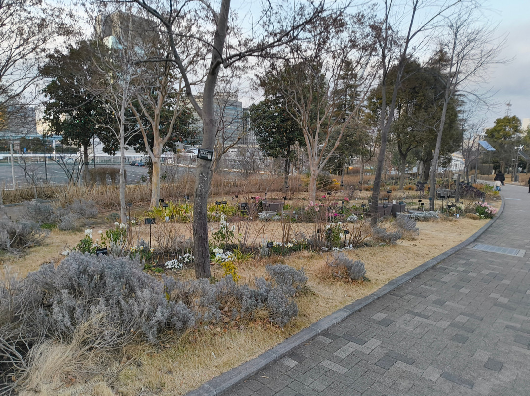 Symbol Promenade Park-Daiba必去景点