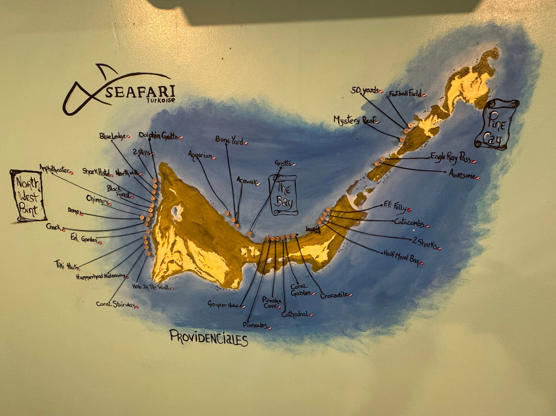 Seafari Turkoise - Dive Center-普罗维登西亚莱斯必去景点