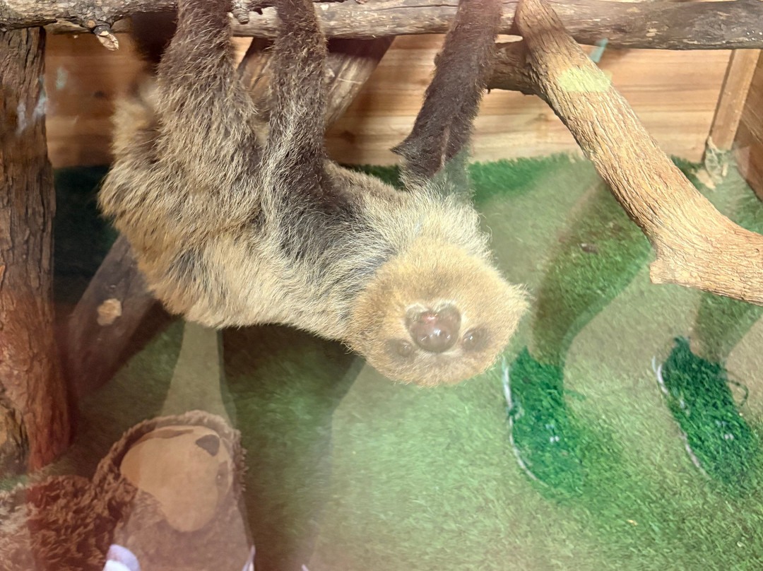 Safari Zoological Park-Caney必去景点