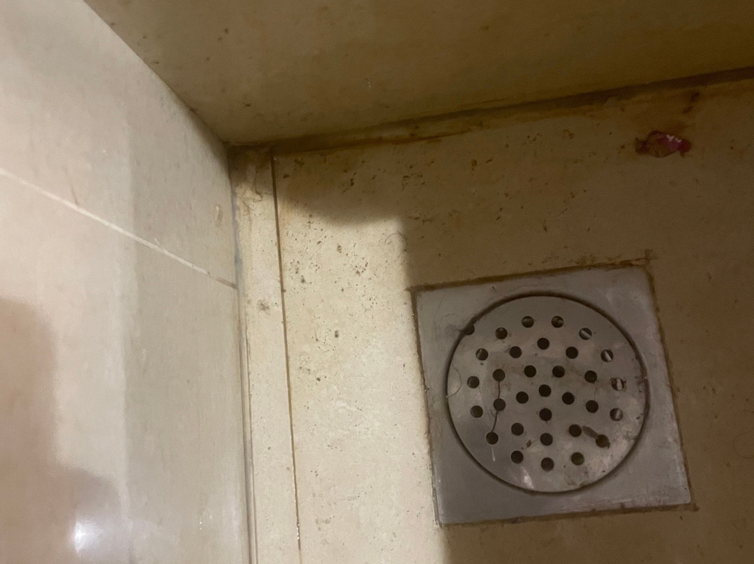 Hotel Kasturi Orchid主图