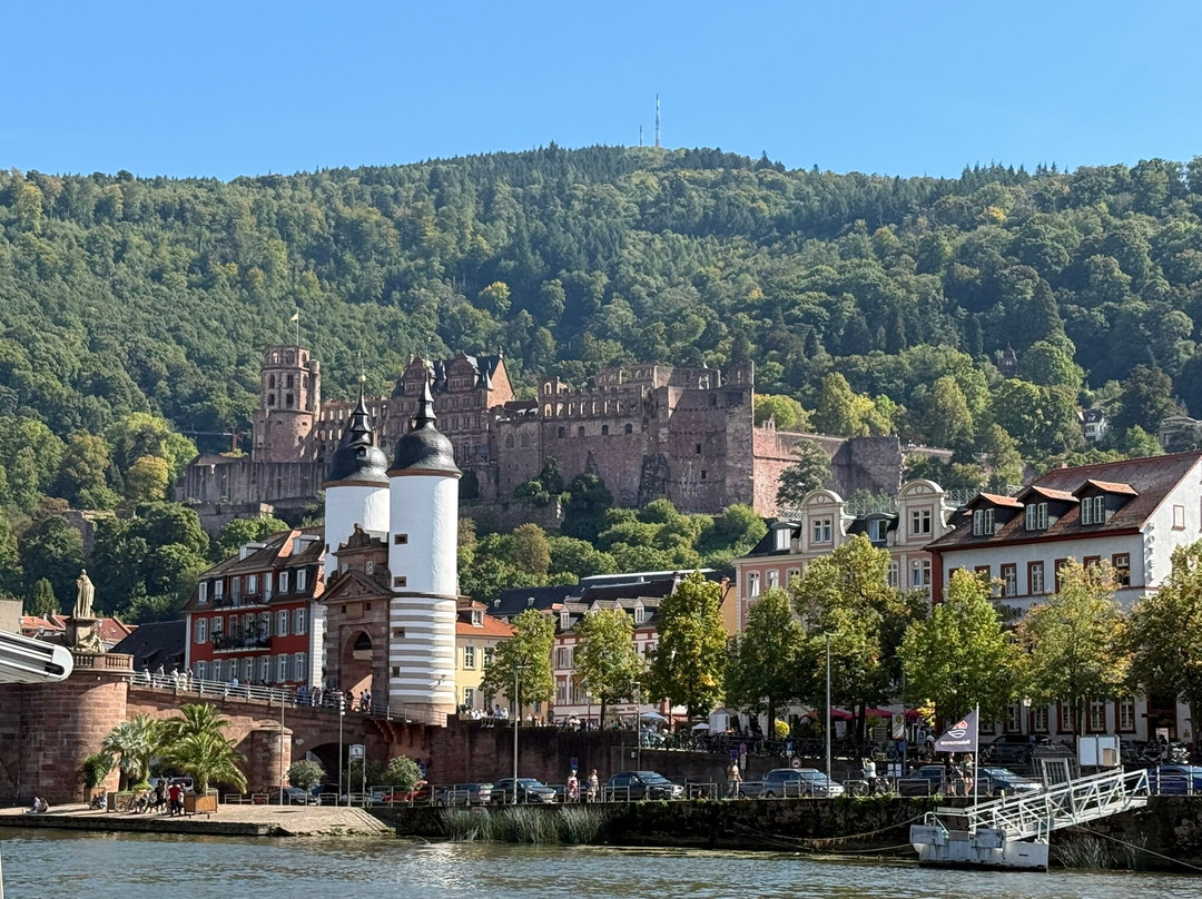 Brückentor-海德尔堡必去景点