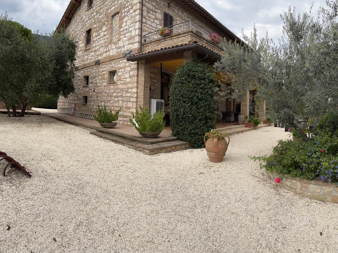 Agriturismo Il Giardino dei Ciliegi主图