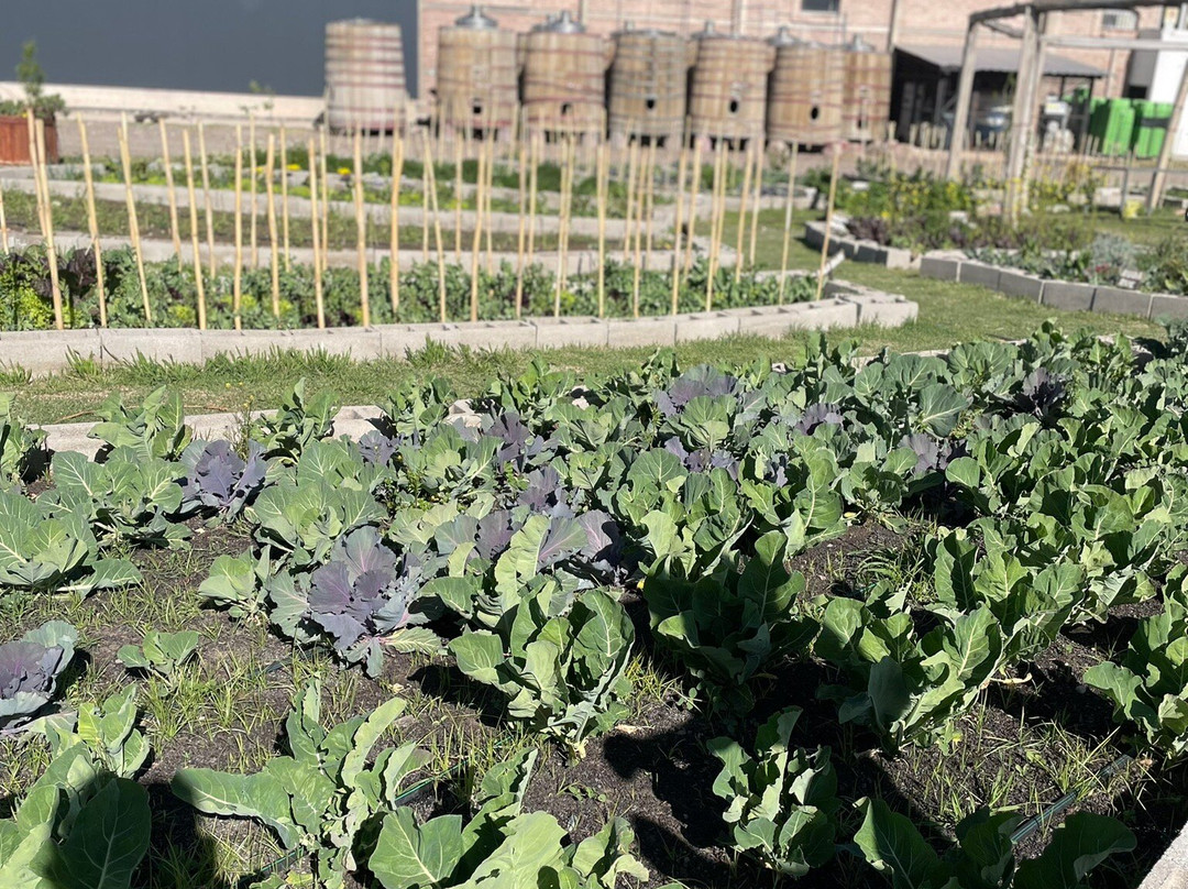 Domaine Bousquet-Tupungato必去景点