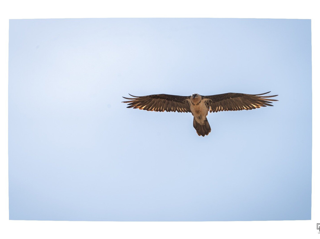 EcoActiva Turismo Activo-格拉纳达必去景点