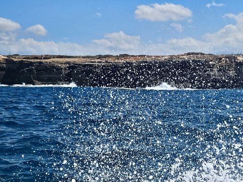 Dolphin Cruises-雷斯蒙必去景点