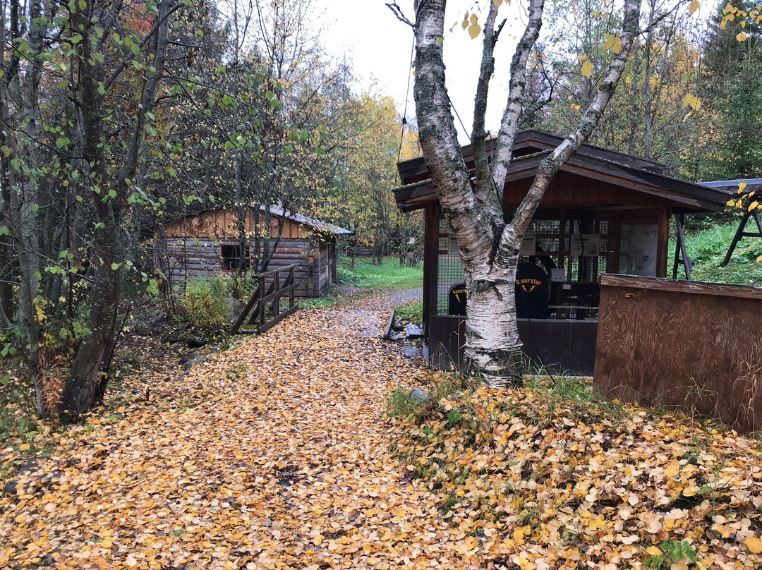 Best Western Hotel Gamla Teatern主图