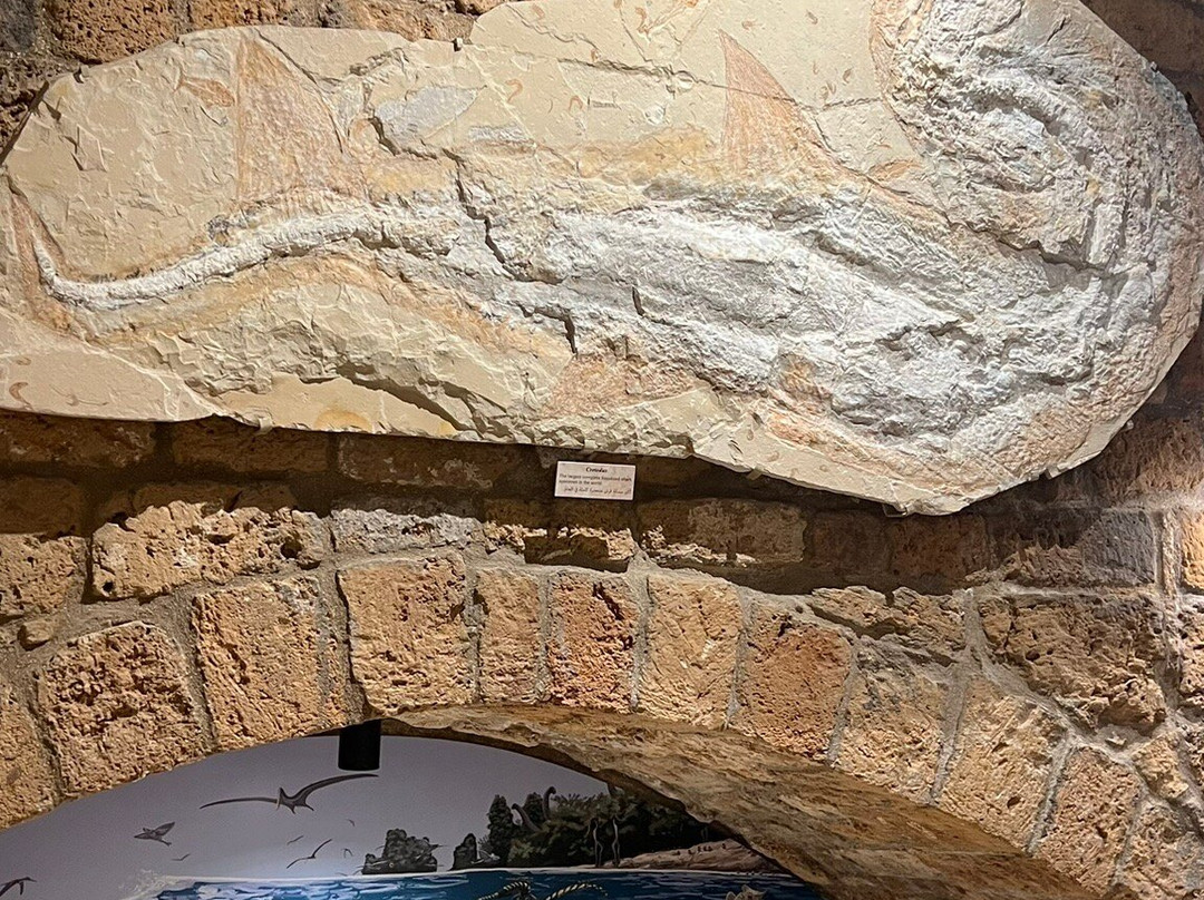 Memory of Time-朱拜勒必去景点