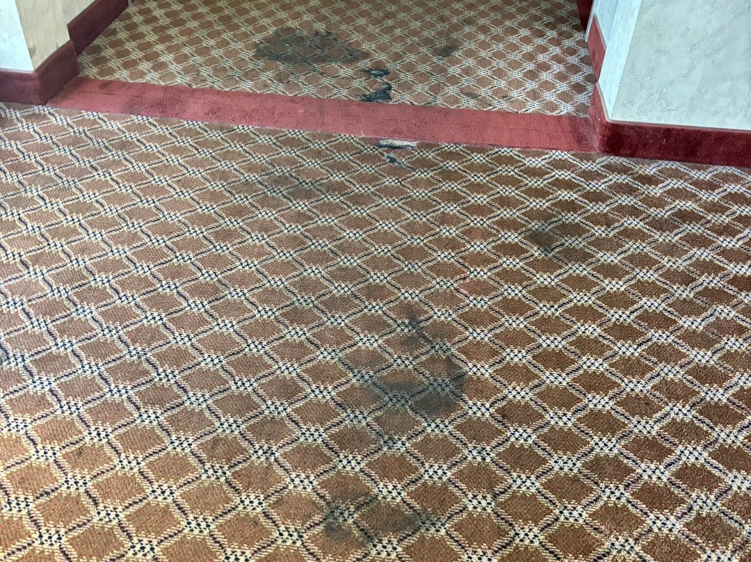 纽瓦克特拉华红屋顶套房酒店主图