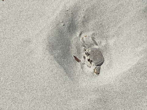 Great Escapes Kayak Expeditions-美特尔海滩必去景点