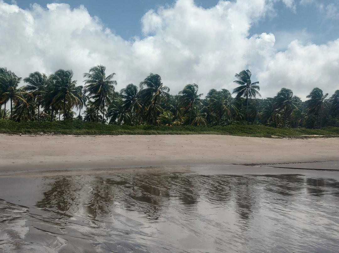 Barra de Santo Antonio Beach-Barra de Santo Antonio必去景点