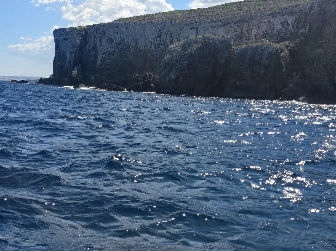 Comino Waves Boat Charters Malta-史克华必去景点
