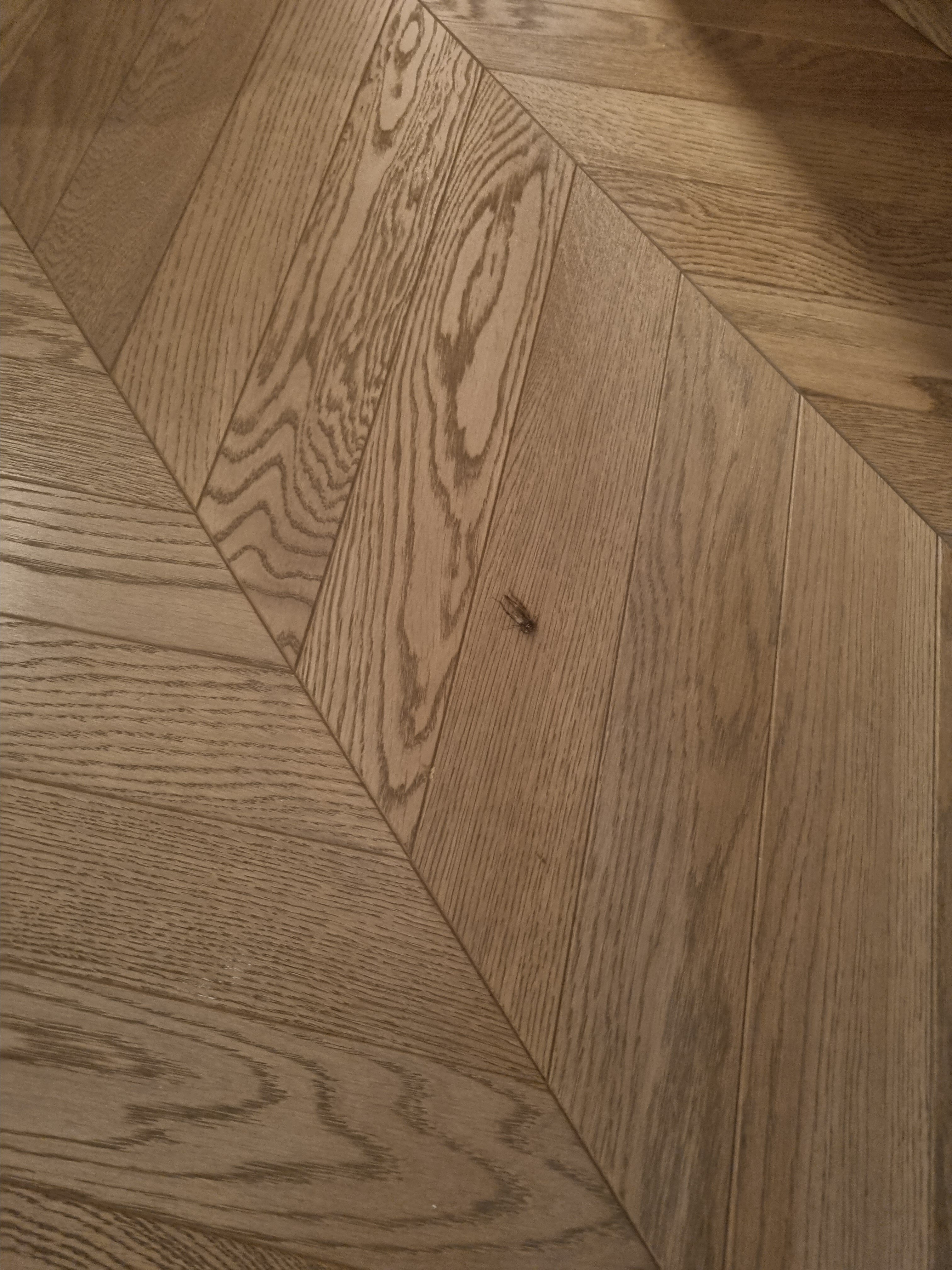 丽塔皇宫酒店-官方