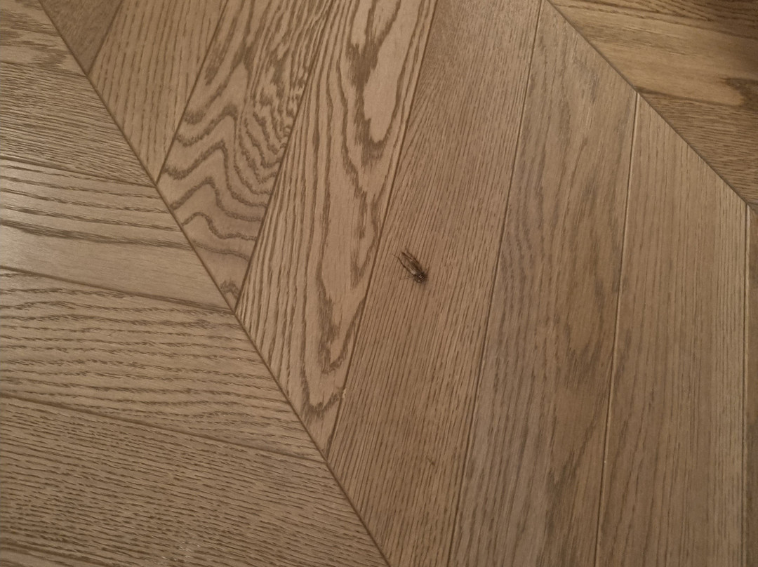 丽塔皇宫酒店主图