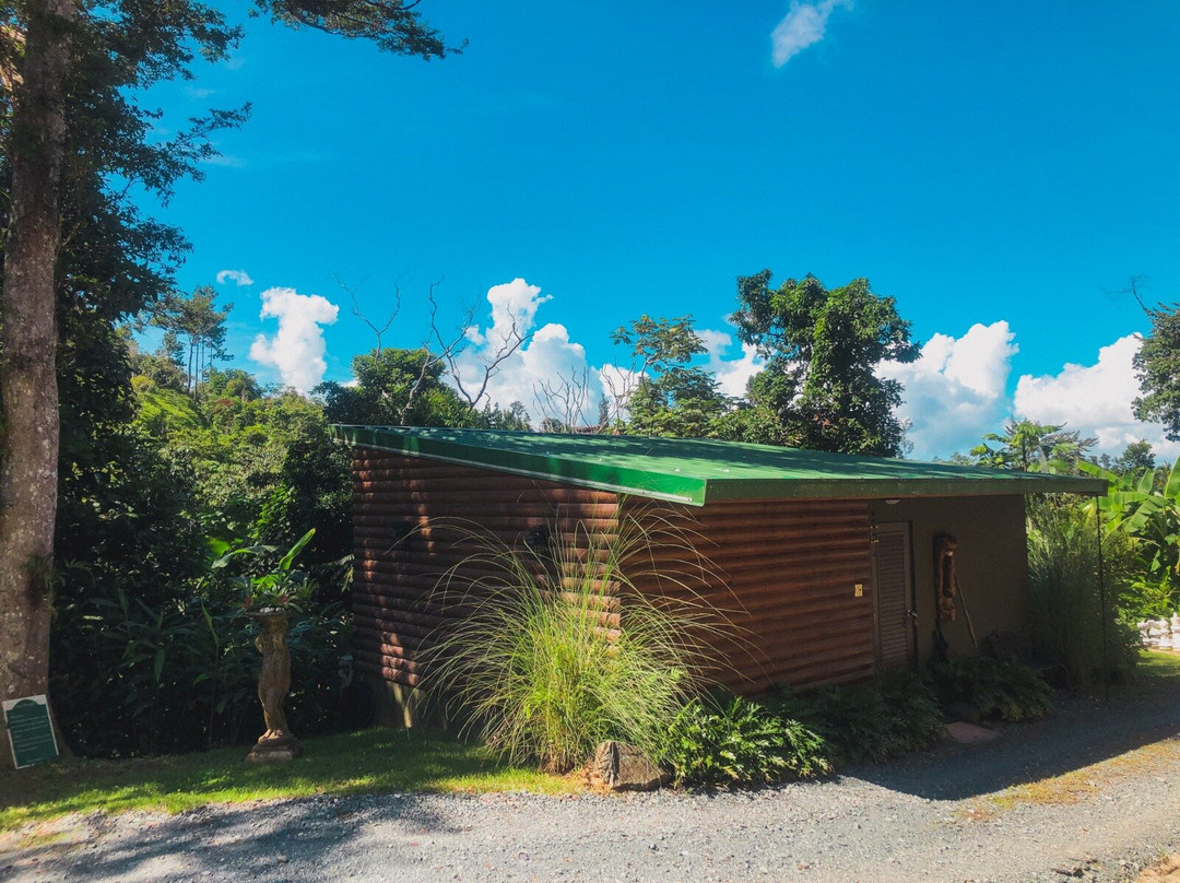 Mont Carpe Diem主图