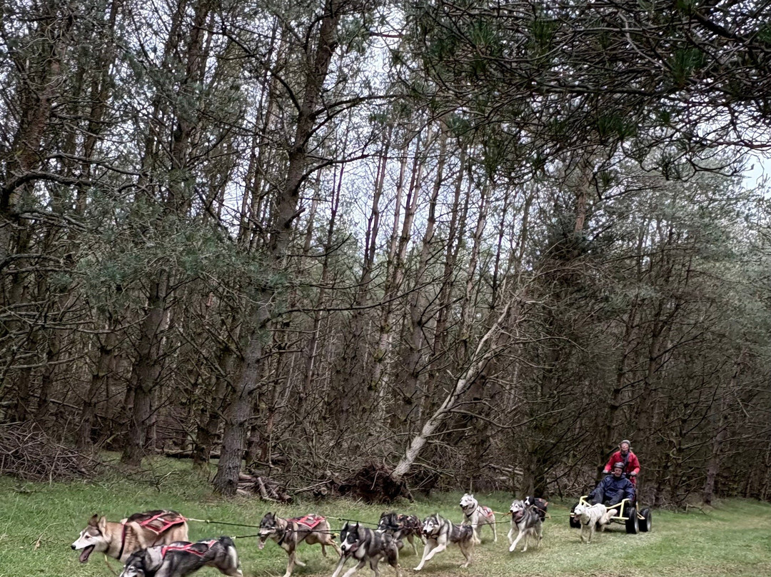 Bowland Trails-Blairgowrie必去景点