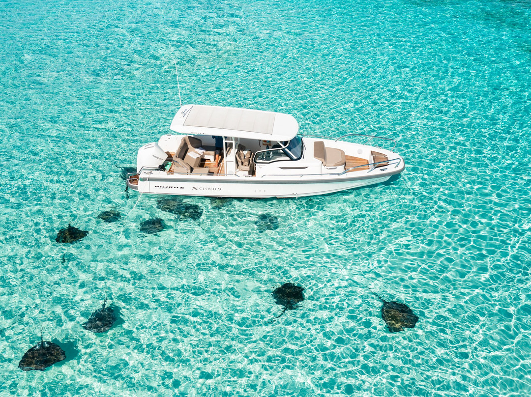 Next Level Charters Cayman-Camana Bay必去景点