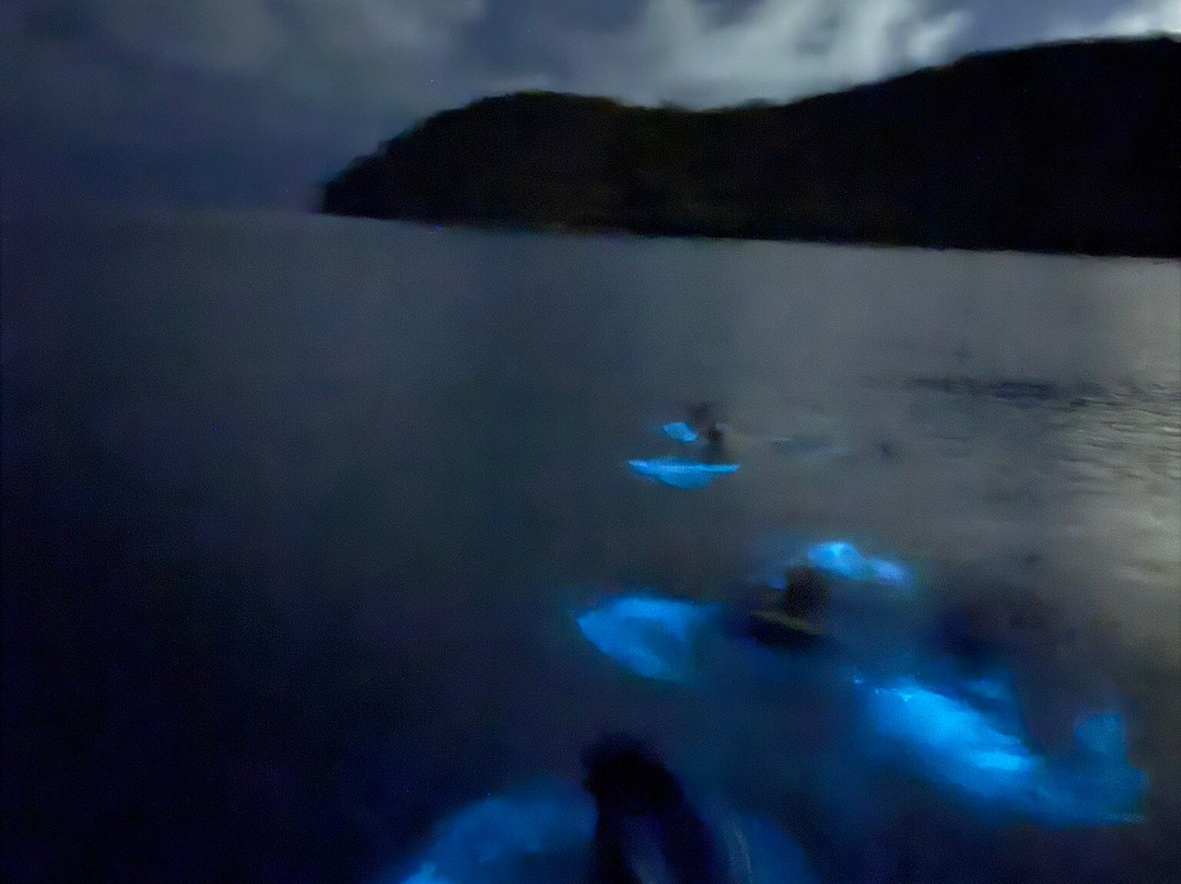 Parguera Eco Tours and Bio Bay-La Parguera必去景点