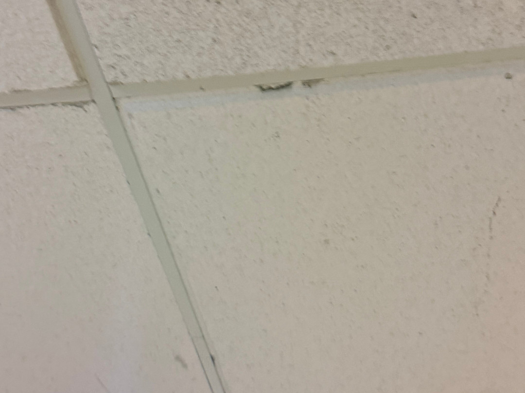 Courtyard by Marriott Gulfport Beachfront主图