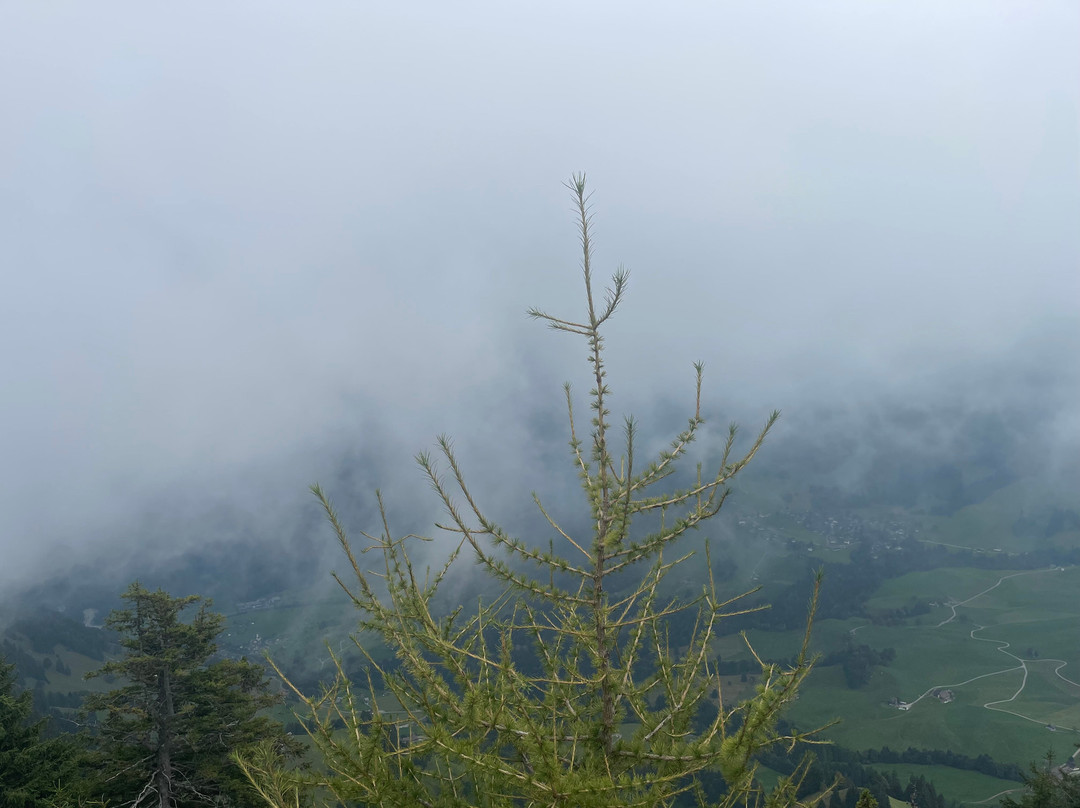 Stanserhorn-Stans必去景点