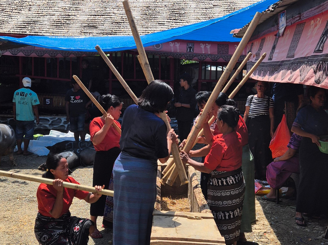 TORAJA TOUR WITH GUIDE SERVICE.-Tana Toraja必去景点