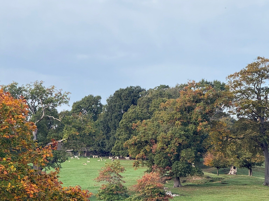 Ripley Castle and Gardens-哈罗盖特必去景点