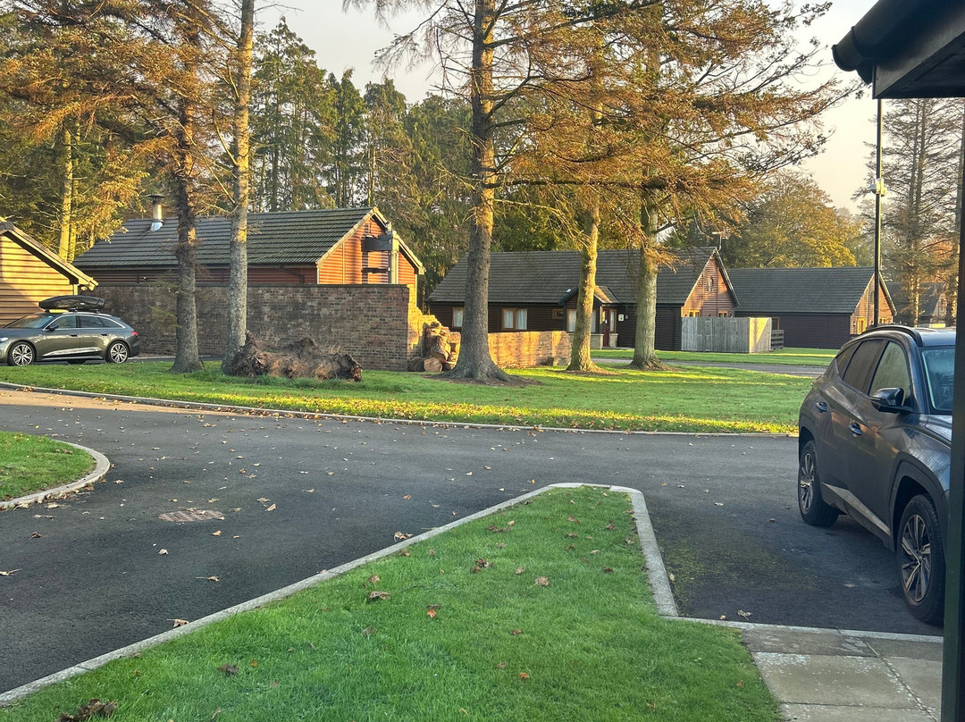 St Andrews Forest Lodges主图