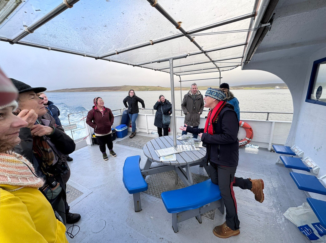 Seabirds and Seals - The Original Noss Boat Tours-Lerwick必去景点