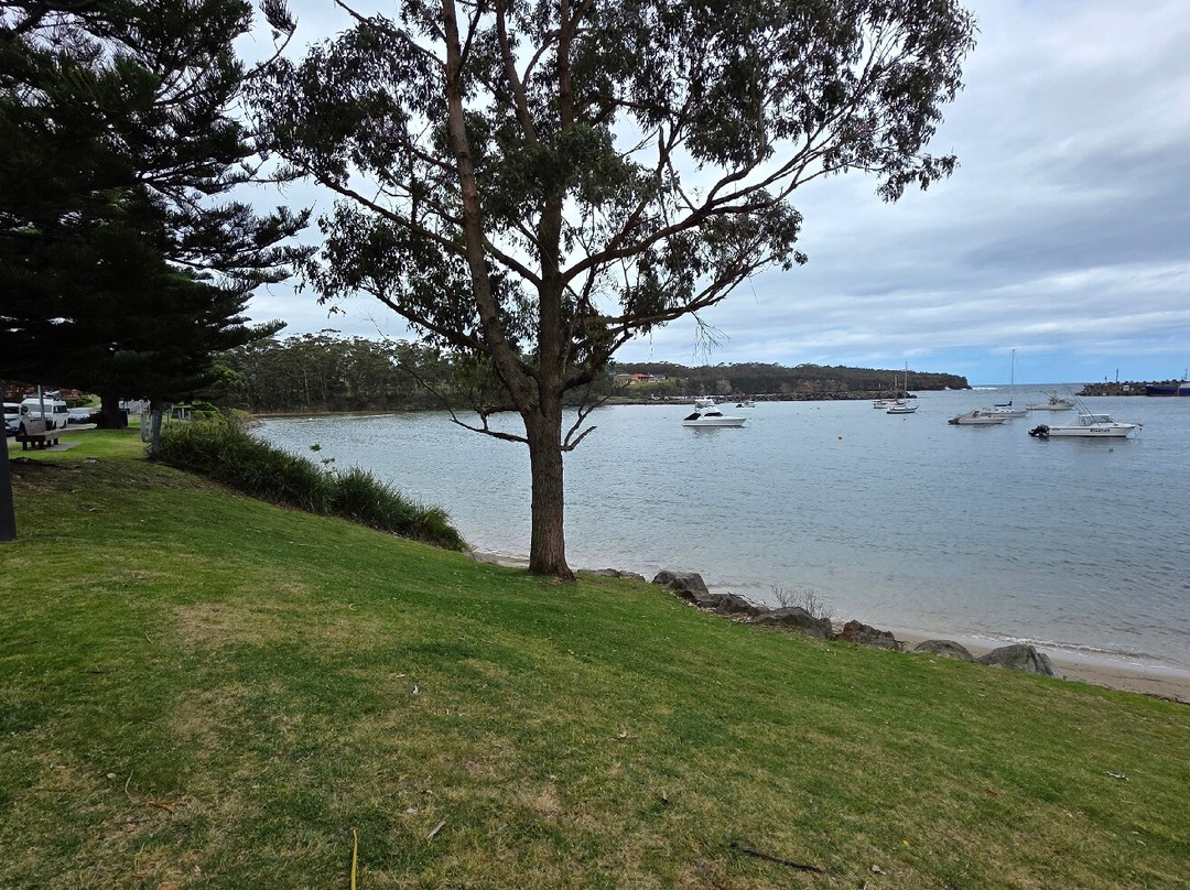 Ulladulla Harbour-阿勒达拉必去景点