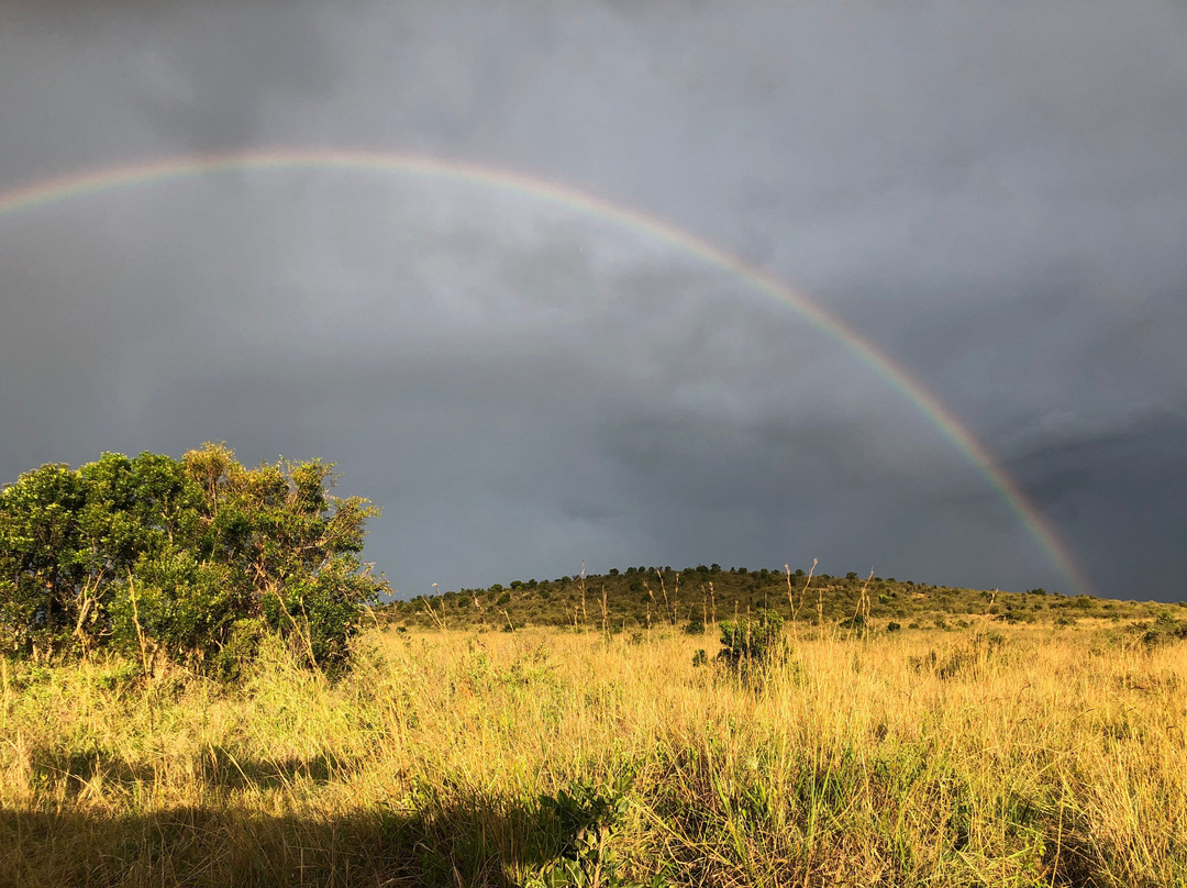 Joyina Safaris Africa-内罗毕必去景点