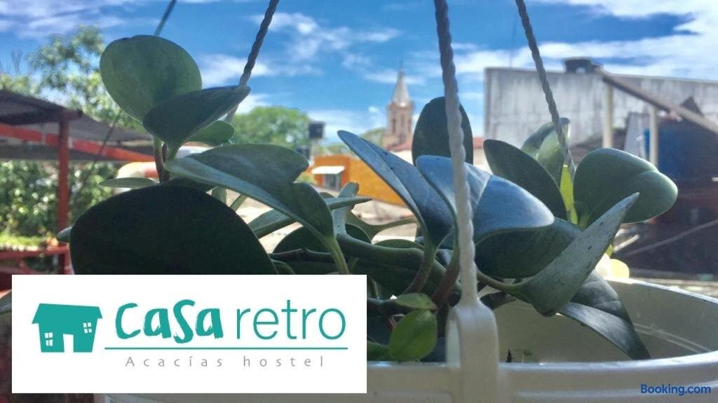 Casa Retro Acacias Hostel