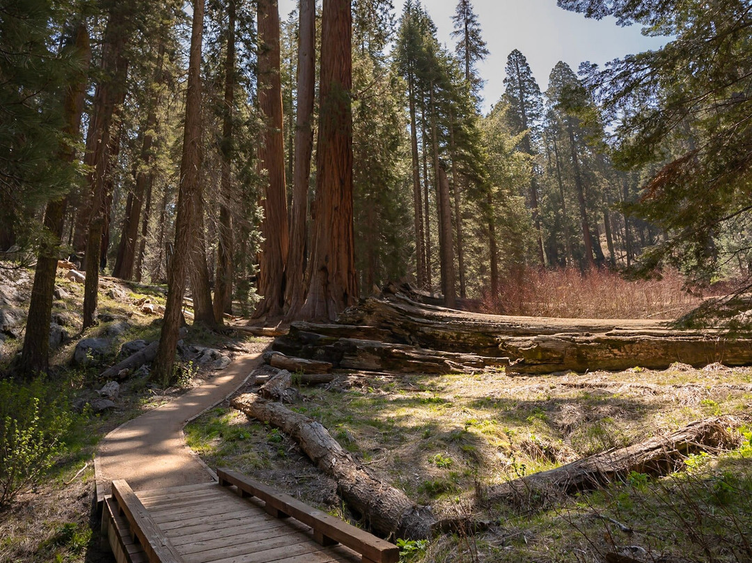 Sequoia Parks Conservancy-Three Rivers必去景点