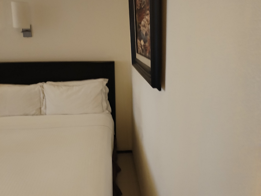 Casa Francisco Cuernavaca主图