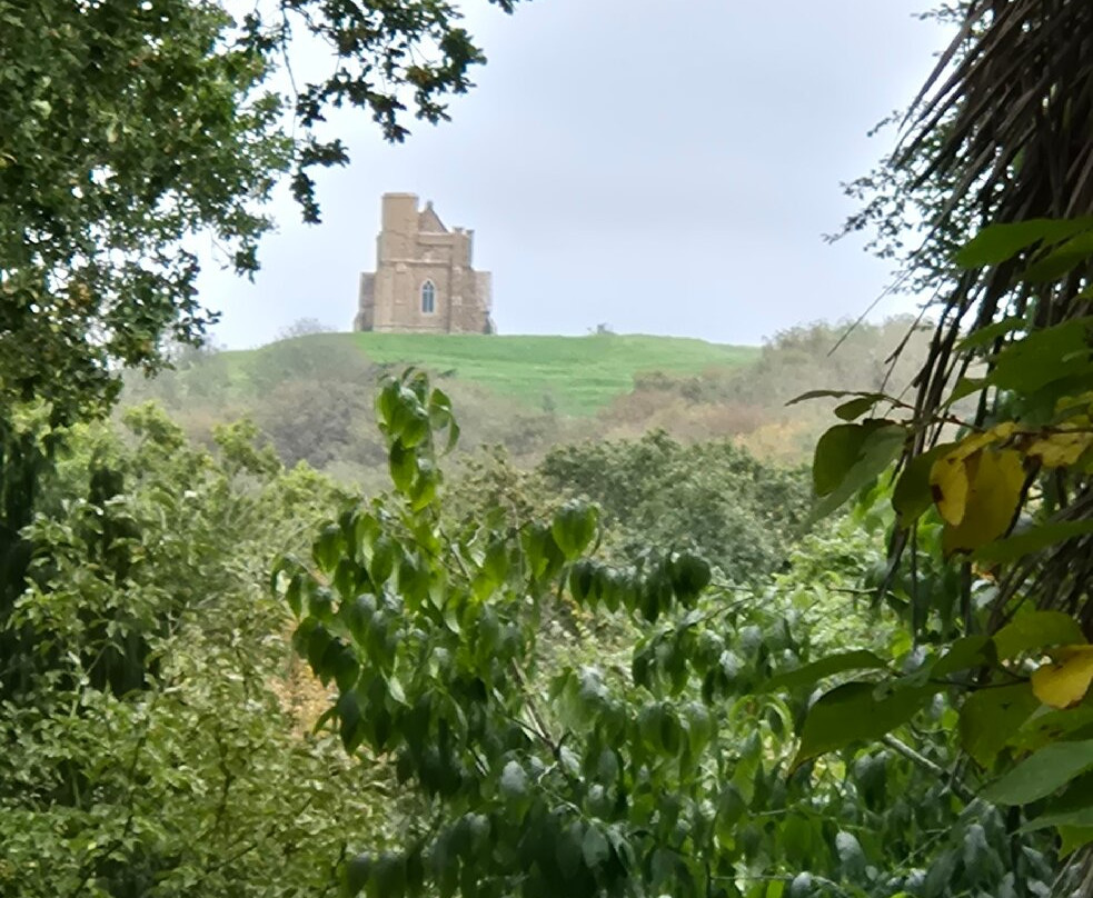 Abbotsbury Subtropical Gardens-Abbotsbury必去景点