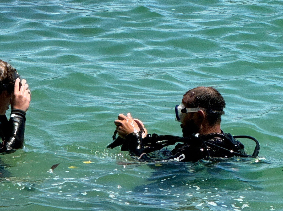 Paraíso das Tartarugas-Bombinhas必去景点