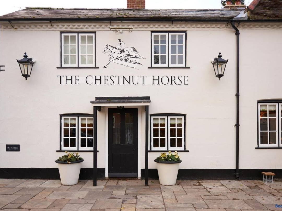 The Chestnut Horse