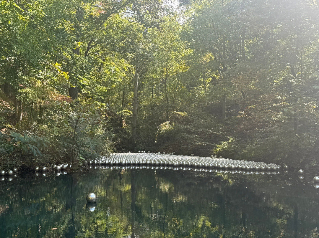 Frank Lloyd Wright's Bachman-Wilson House-本顿维尔必去景点