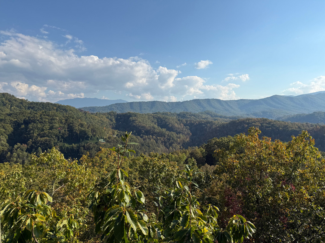 Smoky Mountain Ziplines-皮金福奇必去景点