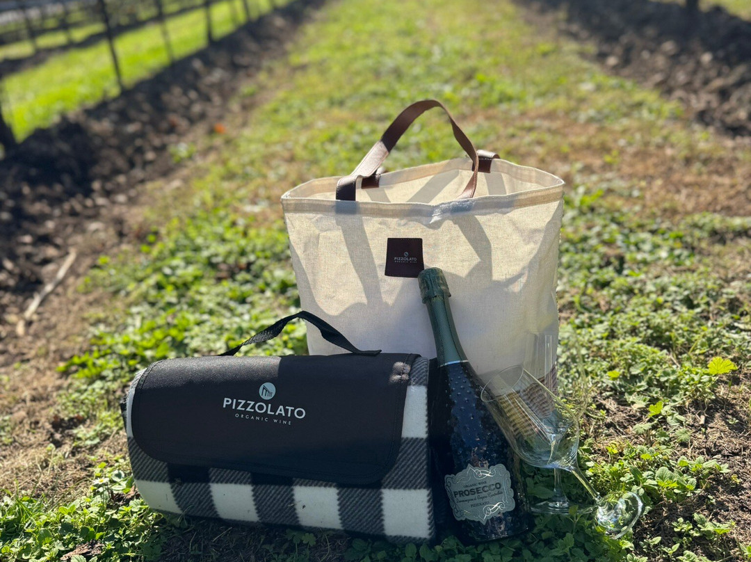 Cantina Pizzolato Società Benefit - Organic Wine Experience-维洛尔巴必去景点