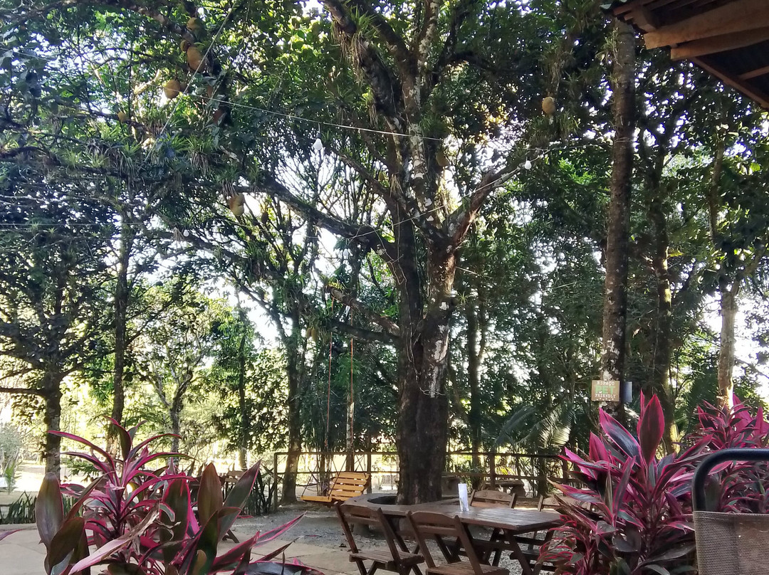 Ipe Park-Sao Benedito必去景点