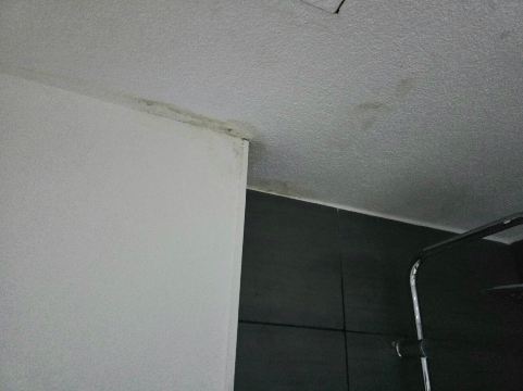 尤罗帕公园巴比伦酒店-官方