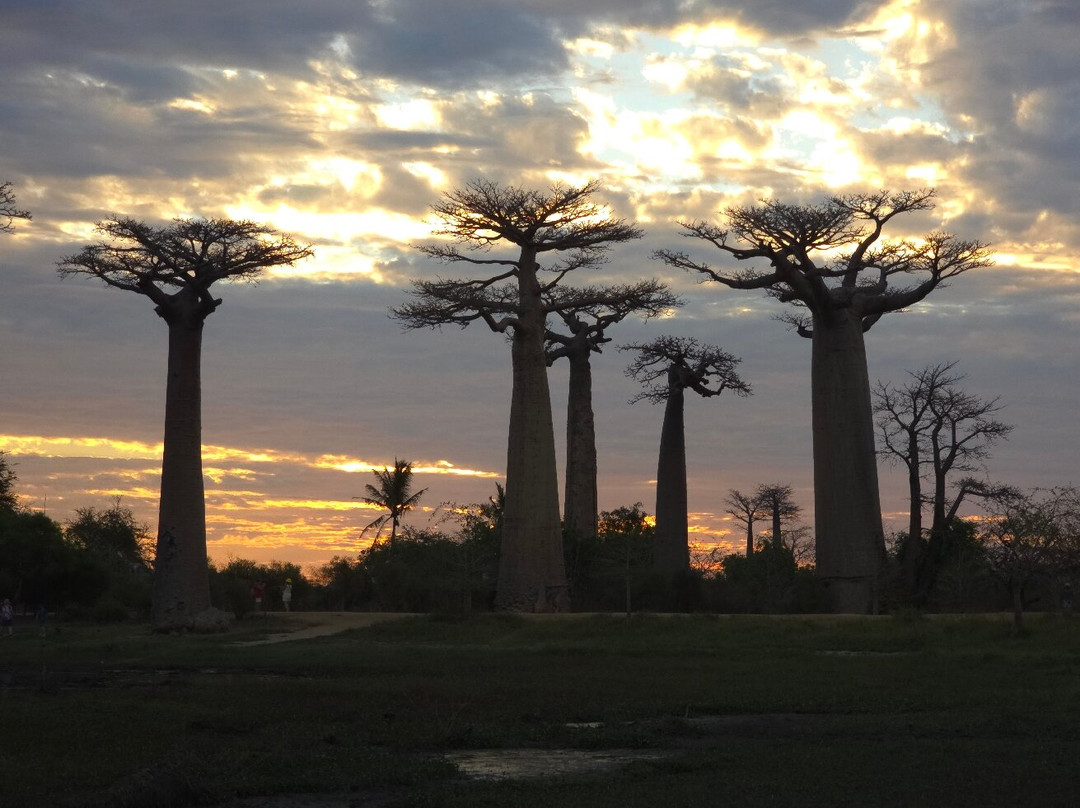 GMT+3 Great Madagascar Tours - Day Tours-安塔那那利佛必去景点